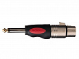 SOUNDKING CXA004
