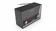 RITMIX RPR-102 CARBON
