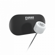 Evans EQPB2