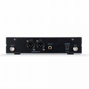 AuraSonics STAGE 202 PRESENTER