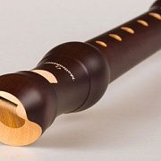 Mollenhauer Student 1004d
