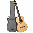CASCHA CGC310 Performer Series