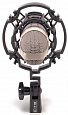 AKG C3000