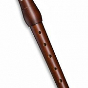 Mollenhauer Student 1004d