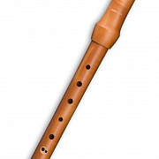 Mollenhauer Waldorf 19242