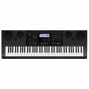 CASIO WK-6600, без адаптера