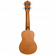 Bamboo BU-21 Mahori Culture Line
