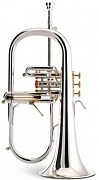 Stomvi Elite 5926