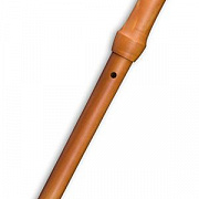 Mollenhauer Waldorf 19242