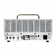 Orange DT30H Dual Terror