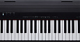 Roland GO-88P
