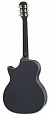 ARIA ARIA-101CE MTBK