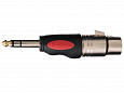 SOUNDKING CXA005