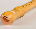 Mollenhauer Canta 2156