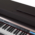 TESLER STZ-8870 ROSEWOOD