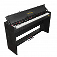EMILY PIANO D-52 BK
