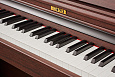 Becker BDP-92R