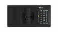 RITMIX RPR-155