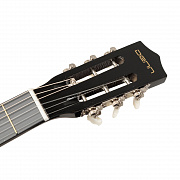 Denn DCG390 BK Акустическая гитара, цвет черный