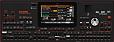 KORG PA1000