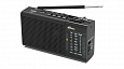 RITMIX RPR-155