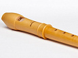 Mollenhauer Canta 2156