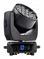 Bi Ray ML19W