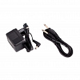RITMIX RWM-221