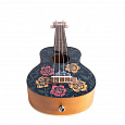 Bamboo BU-21 Aurora