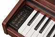 Becker BDP-92R