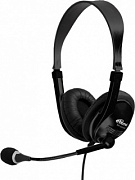 RITMIX RH-533USB