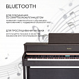TESLER STZ-8870 ROSEWOOD
