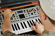 ROLAND GAIA-2