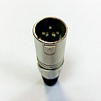 INLINE XLR-MS