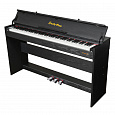 EMILY PIANO D-52 BK