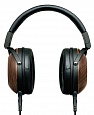 FOSTEX TH610