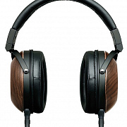 FOSTEX TH610