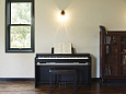 CASIO Privia PX-870BKC2, без адаптера