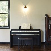 CASIO Privia PX-870BKC2, без адаптера