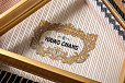 Young Chang YC168E
