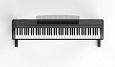 Orla Stage-Starter-Black-Satin
