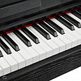 EMILY PIANO D-52 BK