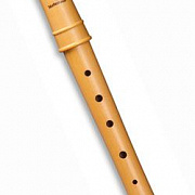 Mollenhauer Canta 2156
