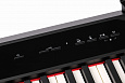 Nux Cherub NPK-10-BK