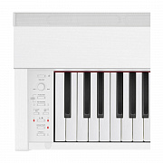 CASIO Privia PX-870WE