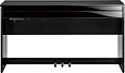 ROLAND DP603-PE