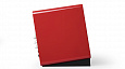 AIRPULSE A100 red