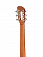Prodipe JMFSGA50SCEQ