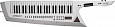 Roland AX-EDGE-W