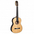 CASCHA CGC310 Performer Series